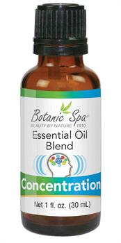 Concentration Essential Oil Blend